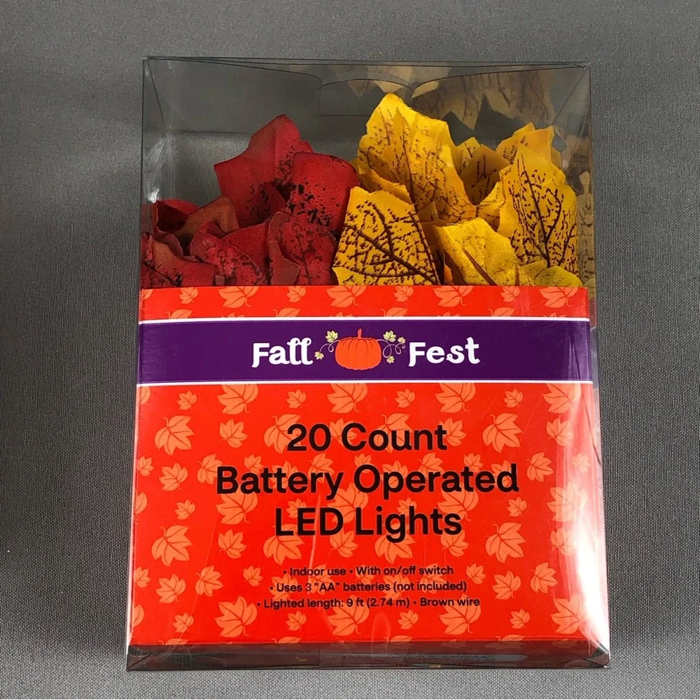 Fall Fest 20 Count Battery Operated LED Lights 2pck